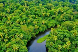 importancia-da-biodiversidade-na-regiao-norte