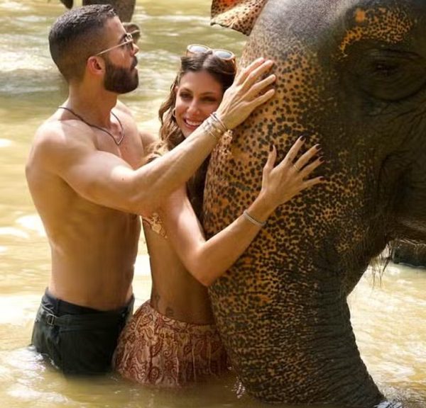 Mari Gonzalez e Pipo Marques, posam com elefantes na Tailândia: ‘Que momento único’