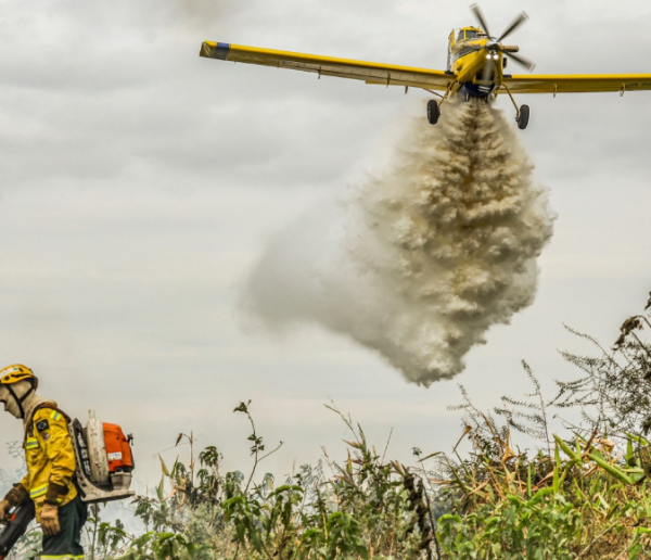 Ações de prevenção e combate a incêndios no Cerrado e Pantanal poderão ser financiadas pelo Fundo Amazônia