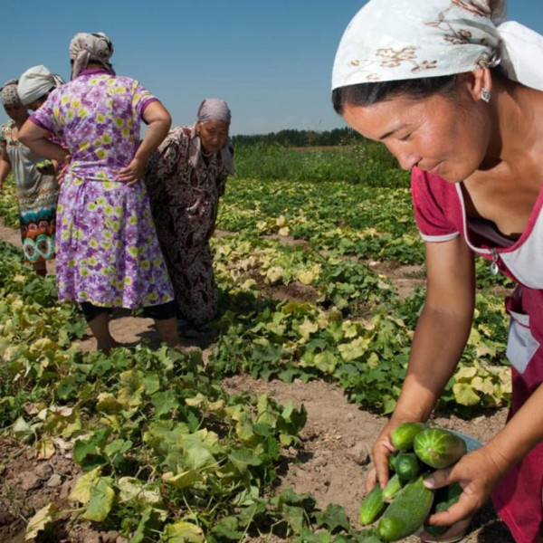 DF – Projeto Mulheres no Campo abre novas inscrições para capacitação gratuita de mulheres rurais em Brazlândia